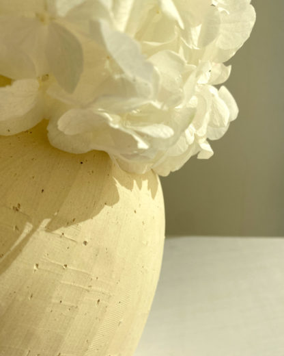 Berta - Imagen 3