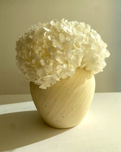 Berta - Imagen 2