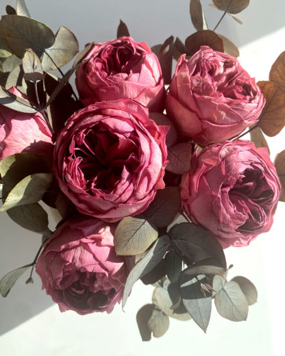 Carme - Imagen 11