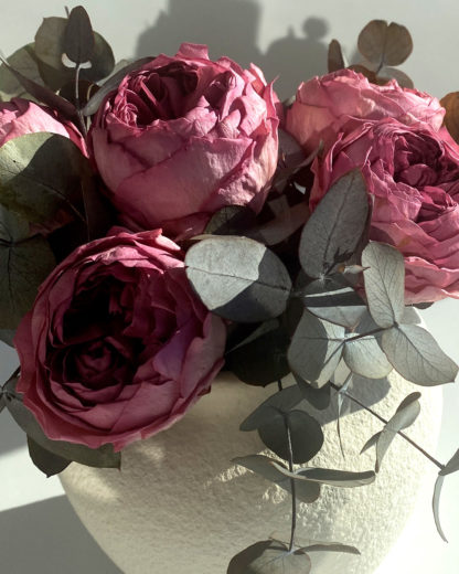 Carme - Imagen 7