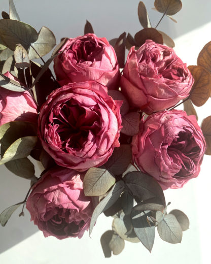 Carme - Imagen 10